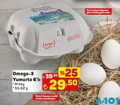 OMEGA-3 YUMURTA M 6'LI 53-62 G